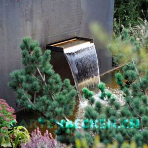 Gartenbecken 070